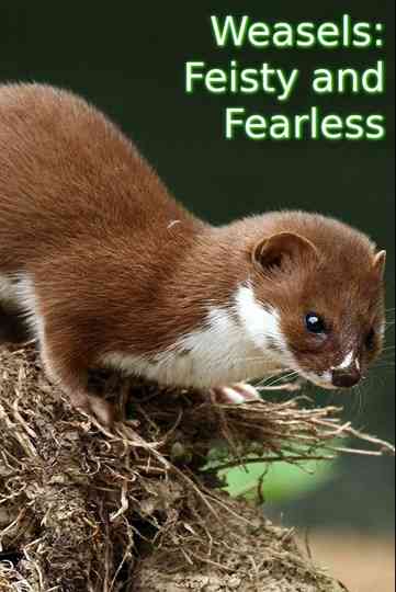 Weasels Feisty and Fearless Poster