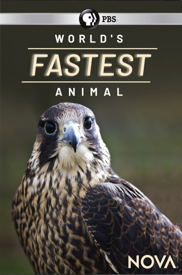 World's Fastest Animal Poster