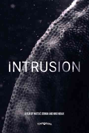 Intrusion Poster