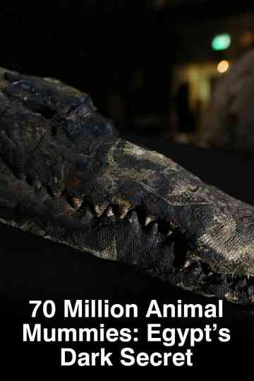 70 Million Animal Mummies: Egypt's Dark Secret Poster