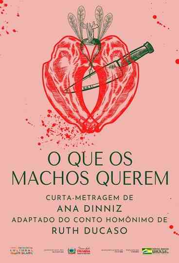 O Que os Machos Querem Poster