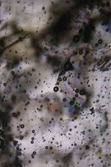 Breaking Point Poster