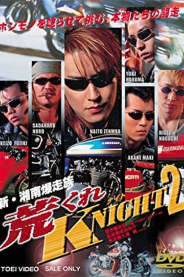 New Shonan Bombing Tribe Rough KNIGHT 2 Poster