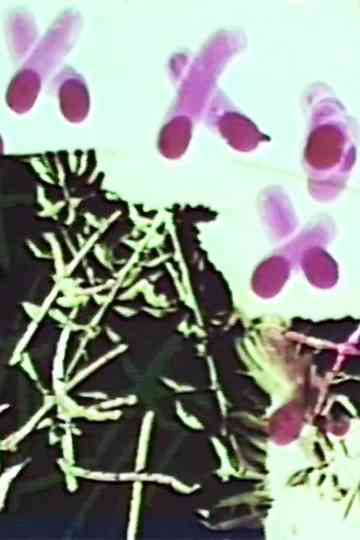 FrottageDommageFromage 2 Vous Poster