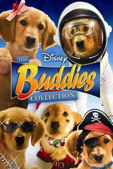 Buddies Collection Poster