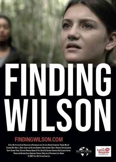 Finding Wilson Poster