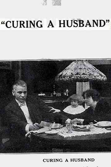 Curing a Husband Poster