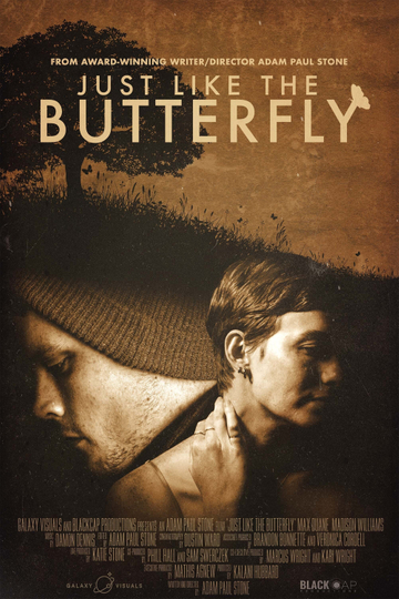 Just Like The Butterfly Poster