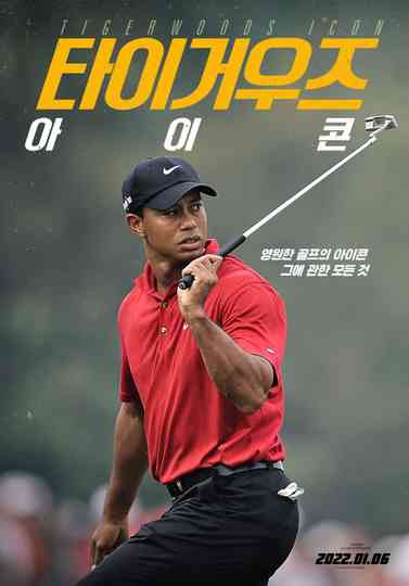 Tiger Woods Icon Poster