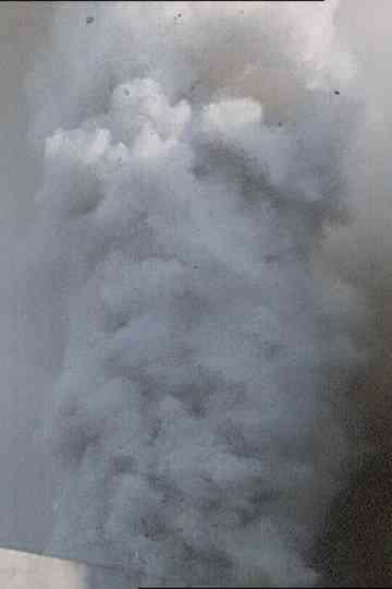 Una lepre con la faccia di bambina Poster