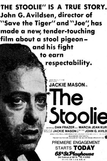 The Stoolie Poster