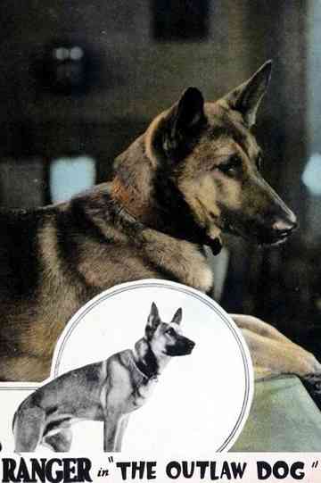 The Outlaw Dog Poster
