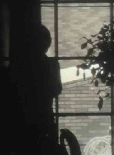 Tokyo Nostalgia Poster