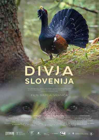 Wild Slovenia Poster
