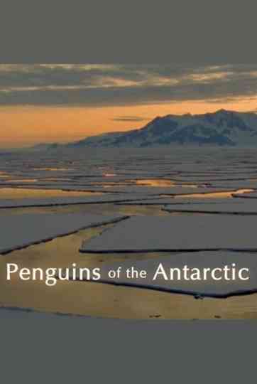Penguins of the Antarctic Poster