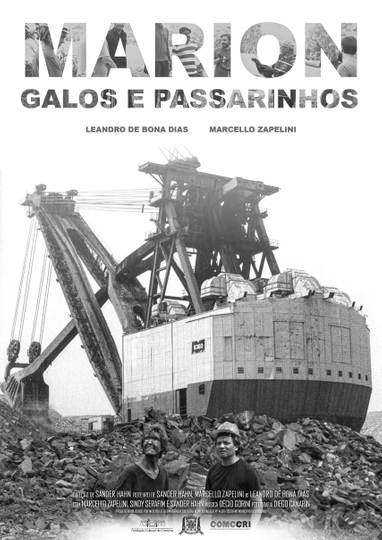 Marion, Galos e Passarinhos Poster