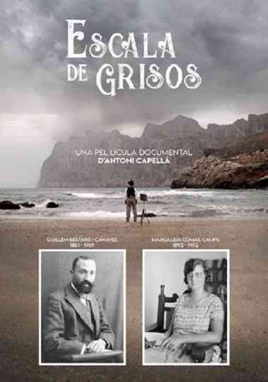 Escala de grisos Poster