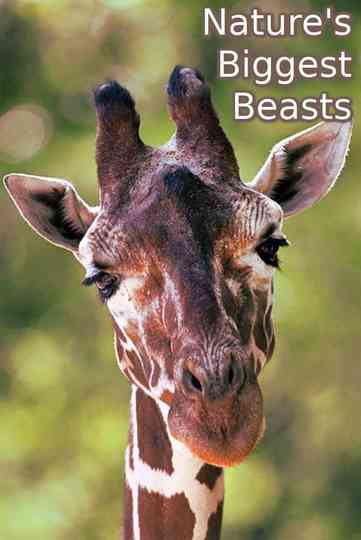 Nature's Biggest Beasts Poster