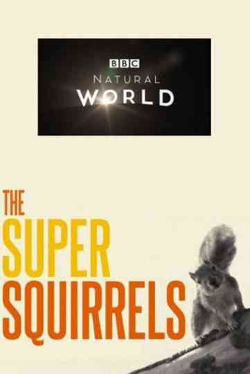 The Super Squirrels Poster