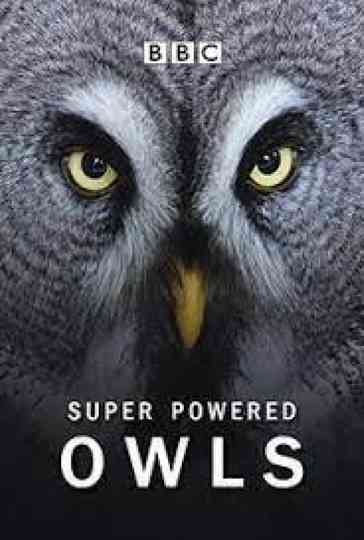 Super Powered Owls Poster