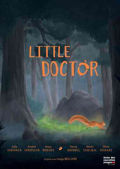 Little Doctor Poster