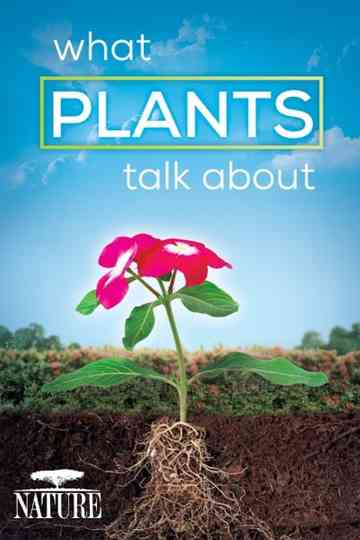 What Plants Talk About Poster