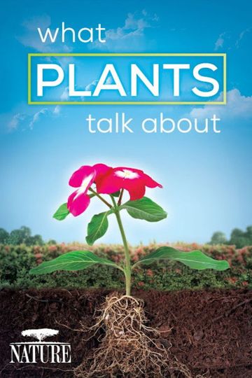 What Plants Talk About