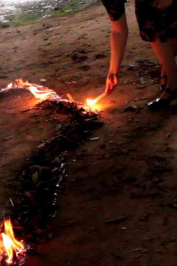 Doors and Windows Poster