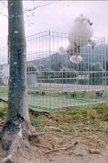 About Dogs And People Poster