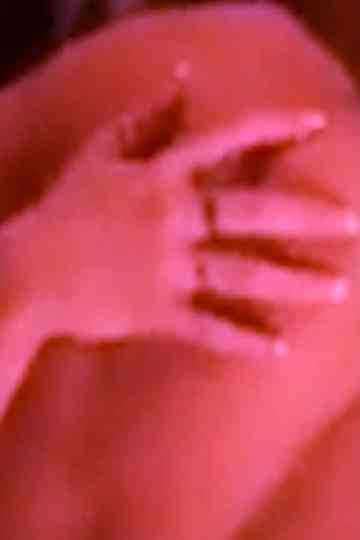 Alice Springs Poster