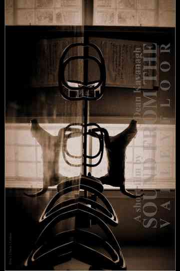 Sound from the Valley Floor Poster