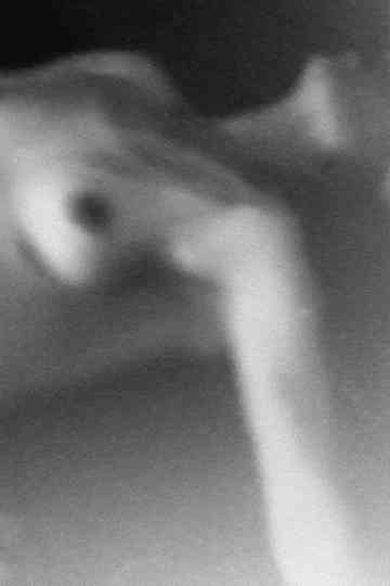 The Curse of Johnny Kline 3D Poster