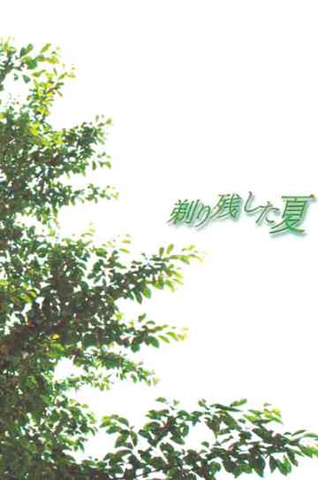 Golden Bomber Movie Poster