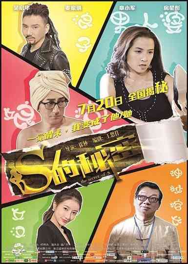 The Secret of S Poster