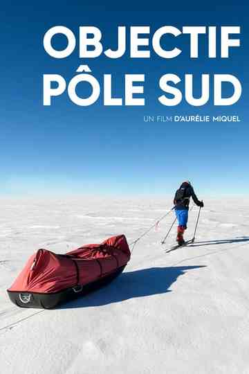 Solo to the South Pole Poster