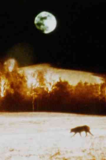 Darkness Darkness Burning Bright  Oraison Poster