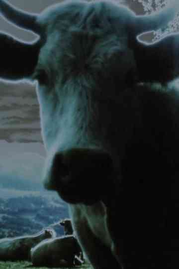 Darkness Darkness Burning Bright Prelude Poster