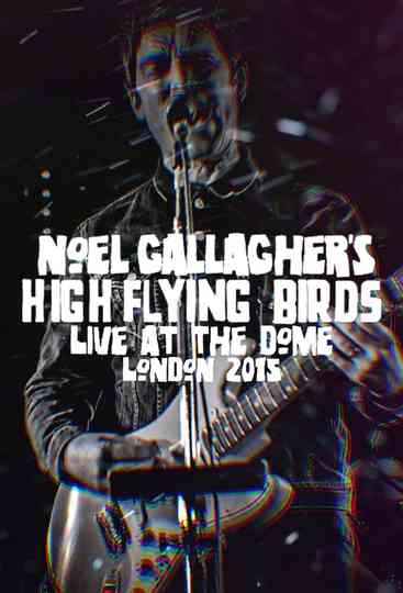 Noel Gallagher's High Flying Birds - Live at The Dome, London Poster