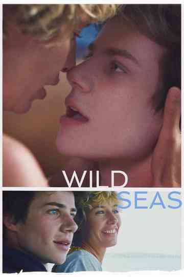 Wild Seas poster
