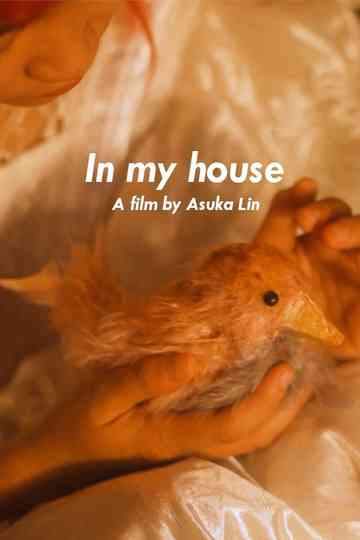 (In my house) Poster