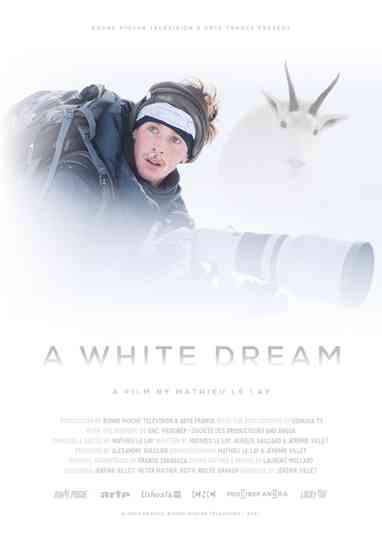 A White Dream Poster