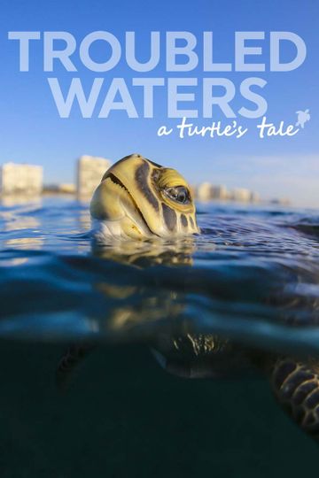 Troubled Waters A Turtles Tale