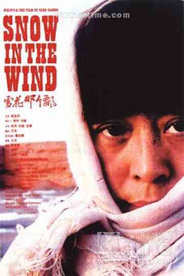 Snow in the Wind