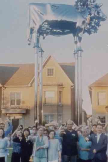 Surface Rites Poster