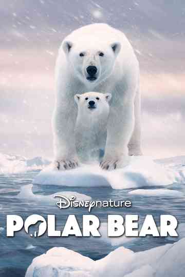 Polar Bear Poster