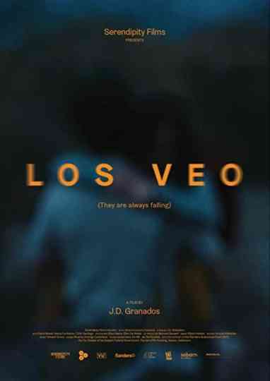 Los Veo Poster