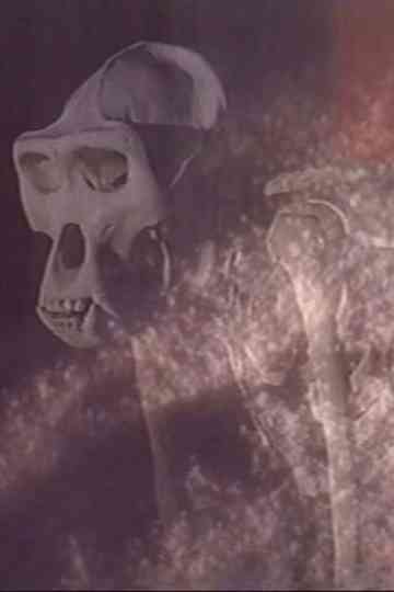 Esprits de Sel Poster