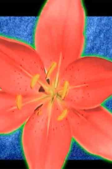 I Thought of You Often Poster