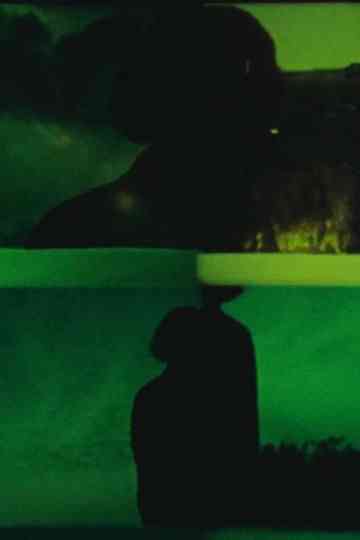 Look at the Wood Poster