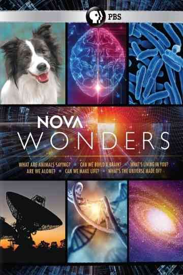 Can We Build a Brain? Poster